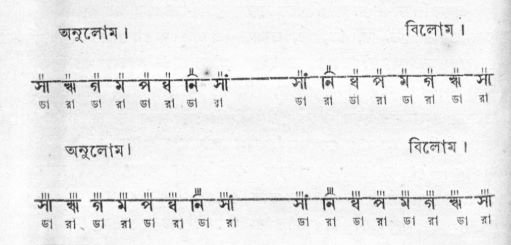 অনুলোম ও বিলোম সাধন