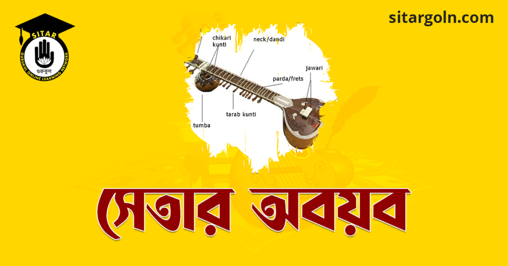 সেতার অবয়ব