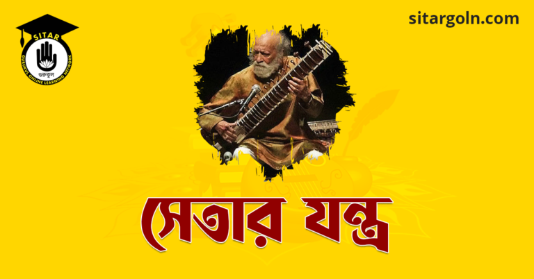 সেতার যন্ত্র